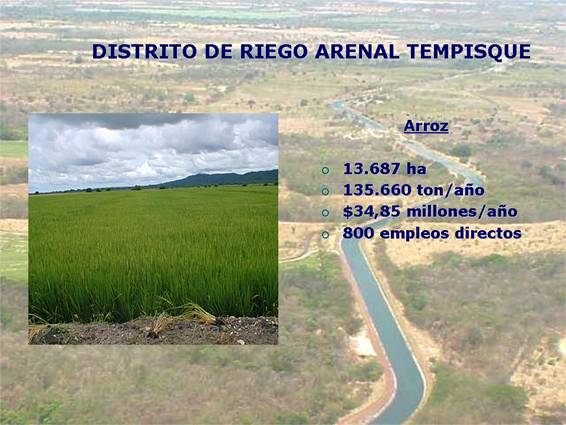 Imagen de la actividad de arroz en el Distrito de Riego Arenal Tempisque