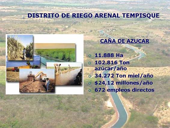Imagen de la actividad de la caña de azúcar en el Distrito de Riego Arenal Tempisque