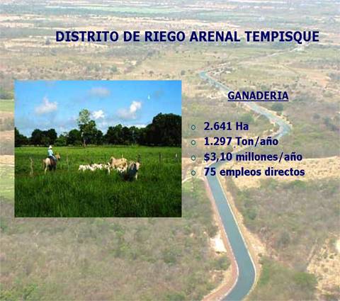 Imagen de la actividad de la ganadería en el Distrito de Riego Arenal Tempisque