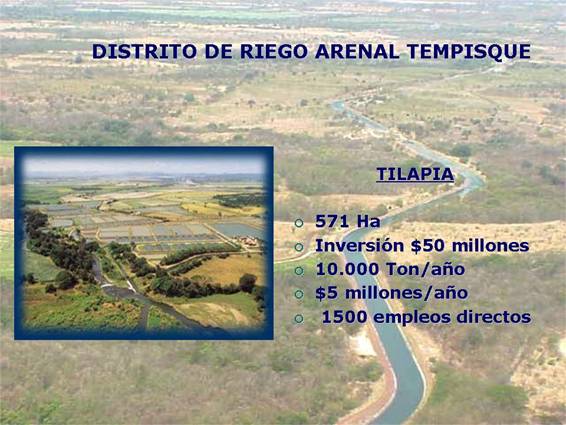 Imagen de la actividad dedicada a la tilapia en el Distrito de Riego Arenal Tempisque